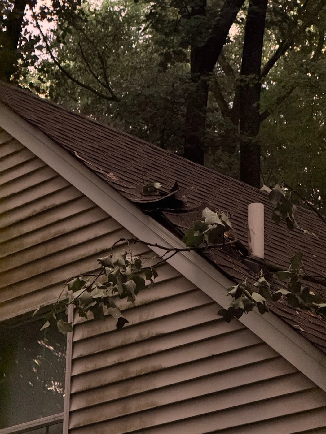 Tree branch impact damage to roof shingles at ridge line — Mendham NJ July 4 2026 storm