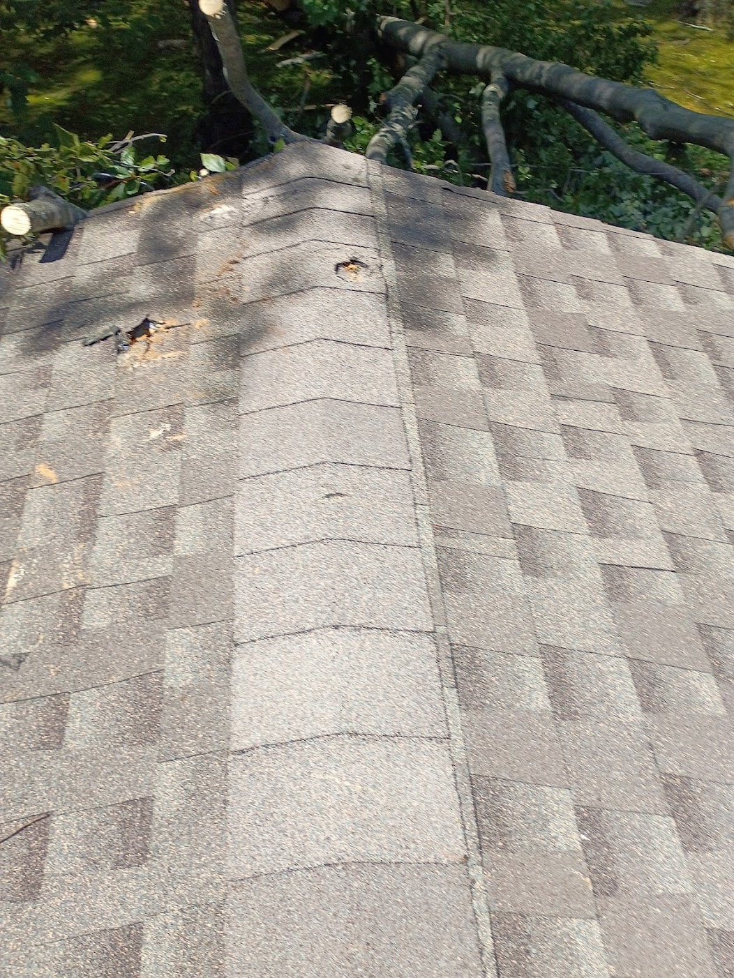 Tree impact holes in roof shingles — Morristown NJ July 2026