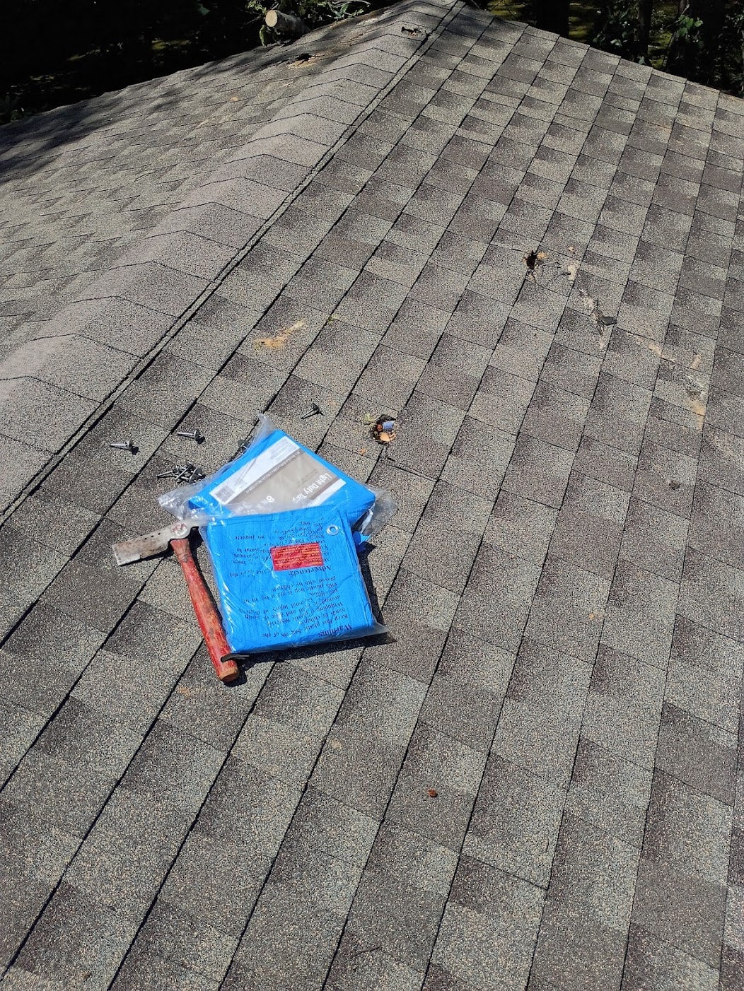 Roof hole damage from fallen tree — emergency repair Morristown NJ
