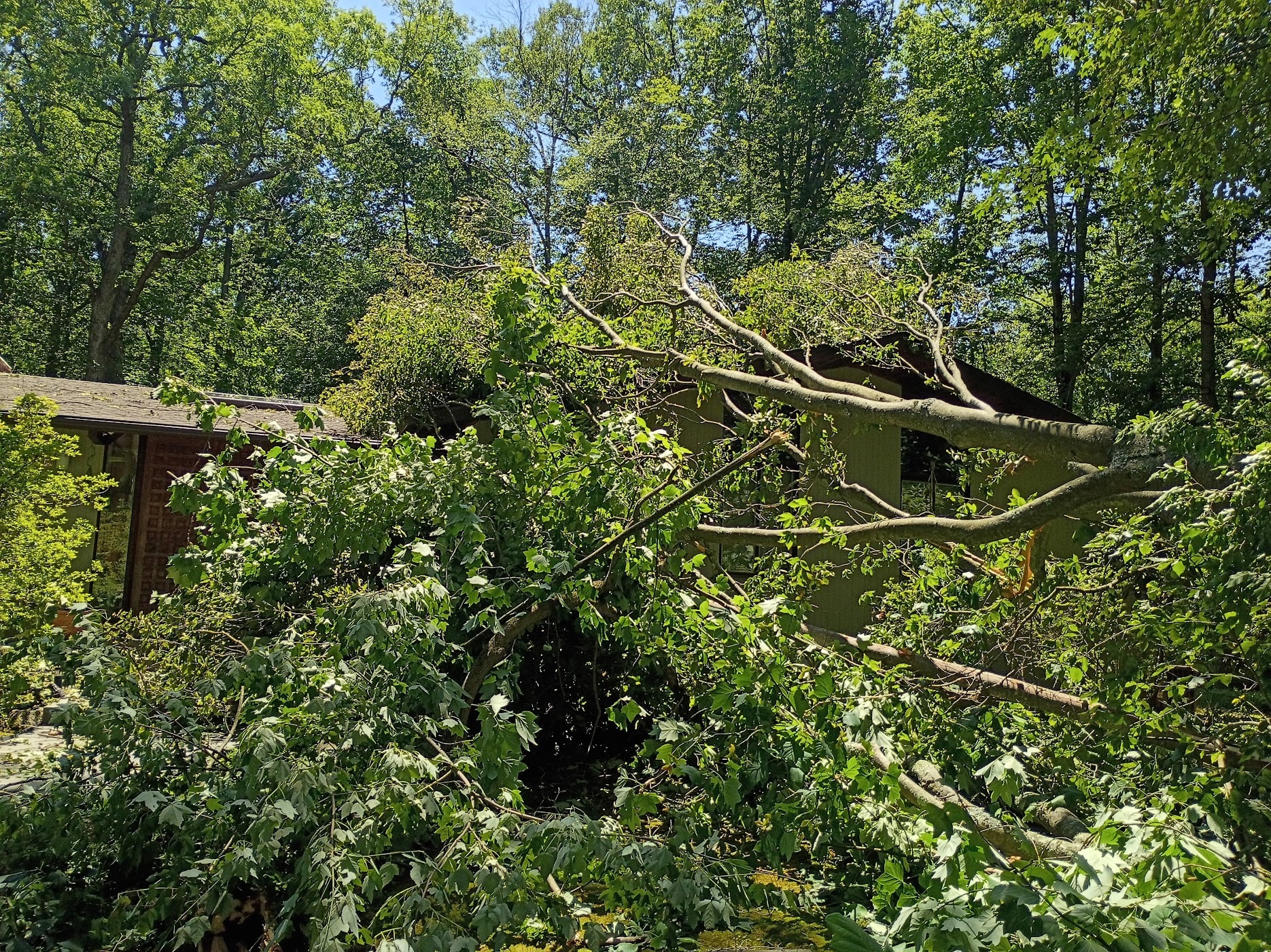 Tree fallen on roof after July 4th storm — Morristown NJ