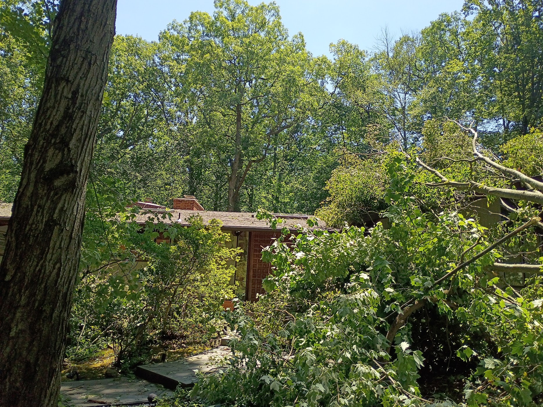 Storm damage tree covering roof — Morristown NJ July 2026