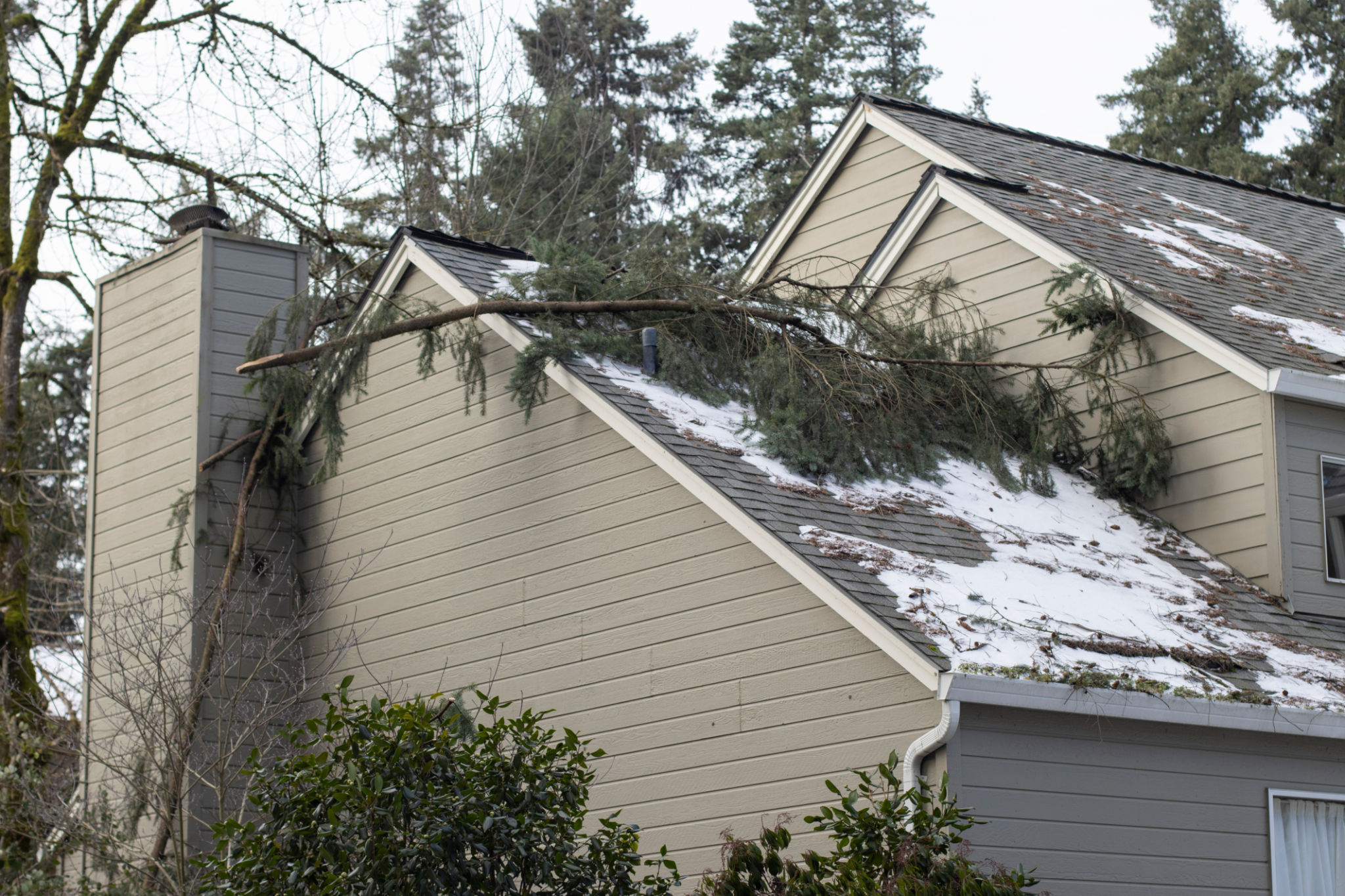 24/7 Emergency storm damage roof repair Morris County NJ — fallen tree on residential roof. Morris County Roofing LLC. Call anytime (973) 975-9110. Licensed roofer in NJ since 2004.